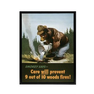 Artery8 Smokey Bear Advert Forest Fire Prevention Framed Canvas Wall Art Print | Size: W24 x H32