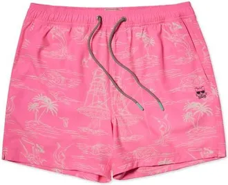Party Pants Extended Stay Party Starter 5-Inch Swim Trunks in Pink at Nordstrom, Size Xx-Large