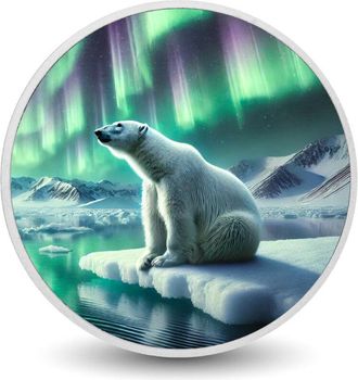 OEM Moneda De Plata Brillante Del Guardi&aacute;n Del &Aacute;rtico