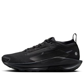 Nike (WMNS) Nike Pegasus Trail 5 Gore-Tex Black Anthracite FQ0912-002
