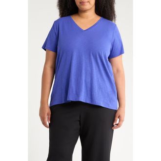 Eileen Fisher Easy V-Neck Organic Cotton Slub T-Shirt in Royal at Nordstrom, Size 1X
