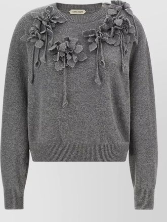 Alberta Ferretti embroidered virgin wool crew neck sweater
