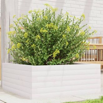 vidaXL Vidaxl - Jardinera De Madera Maciza De Pino Blanca 60x60x23 Cm