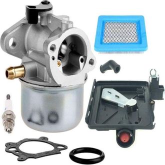 OEM Carburador Para Cortac&eacute;spedes - Briggs & Stratton - Modelo 799868 - Compatible Con Briggs & Stratton 14111