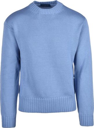 Daniele Fiesoli Truien & Vesten, Heren, Blauw, M, Wol, Maglione Girocollo