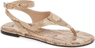 Stuart Weitzman Marley Ankle Strap Sandal in Adobe Brown at Nordstrom, Size 8.5