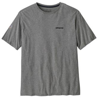 Patagonia Fitz Roy Icon Responsibili-Tee T-Shirt f&uuml;r Herren | grau