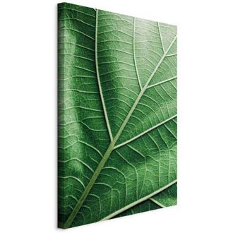 OEM Pintura - Hoja De Malaquita (1 Parte) Vertical