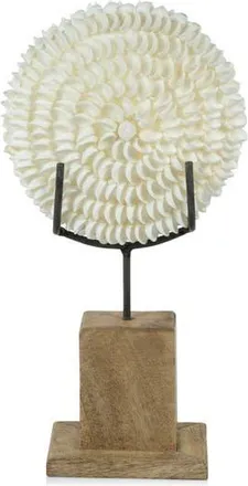 Zodax Clamrose Seashells on Wooden Stand in Ivory/Natural at Nordstrom Rack