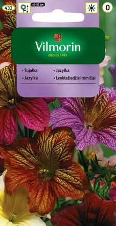 OEM Semillas De Thuja Variegatum 0,5 G Vilmorin