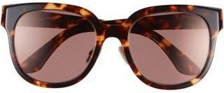 Miu Miu 55mm Square Sunglasses in Blonde Havana at Nordstrom Rack