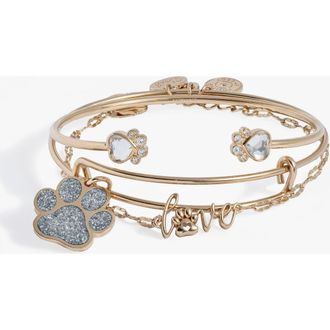 Alex and Ani Paws of Love Bracelet Set of 3 in Gold at Nordstrom