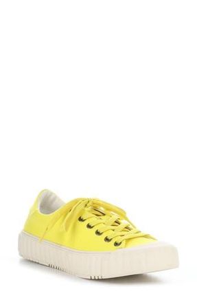 Bos. & Co. Chaya Sneaker in Yellow Canvas at Nordstrom Rack, Size 9-9.5Us / 40Eu