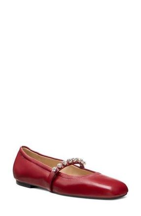 Stuart Weitzman Goldie Ballet Flat in Chile at Nordstrom Rack, Size 6