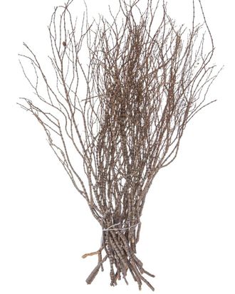 Vickerman 36In Tigerwood Bundle
