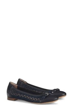 AGL Monia Cap Toe Ballet Flat in Nigh-Navy-Nigh-Nigh at Nordstrom Rack, Size 9Us / 39Eu