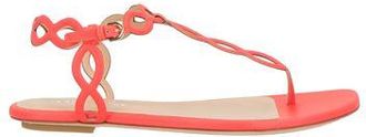 Sergio Rossi CALZADO - Sandalias de dedo en YOOX.COM