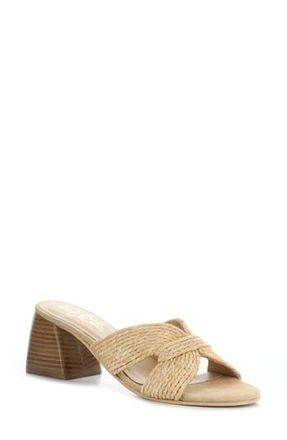 Bos. & Co. Gessa Block Heel Slide Sandal in Natural Rafia/suede at Nordstrom Rack, Size 9-9.5Us / 40Eu