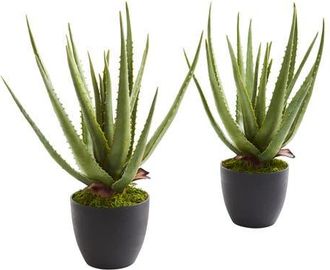 Nearly Natural Aloe Artificial Plant in Green at Nordstrom