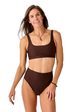 Carve Designs Lani Pocket Compression Bottom in Coffee at Nordstrom, Size Xx-Small