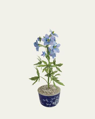 Tommy Mitchell Delphinium July Birth Flower in Ceramic Pot