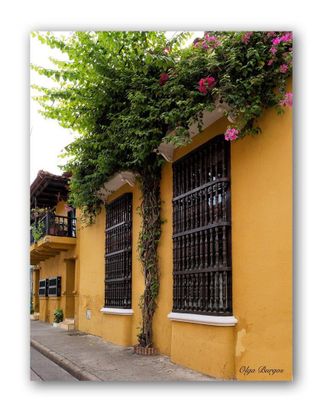 Ready2HangArt Ready2hangart Indoor/Outdoor Wall Decor Provincial V In Artplexi Wall Art By Olga Burgos