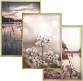 OEM Set De Carteles De Pared 30x40 Marco Dorado Cuadros Para Sal&oacute;n Dormitorio Hierbas
