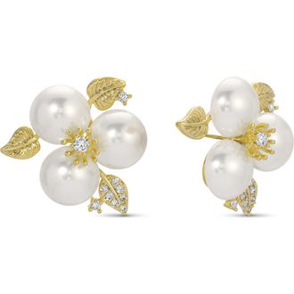 Eye Candy Los Angeles Eva Cubic Zirconia Stud Earrings in Gold at Nordstrom Rack