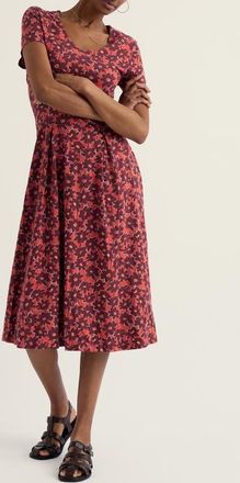 Seasalt Cornwall Pier View Floral Flare Stretch Organic Cotton Dress in Inked Cosmos Masala at Nordstrom, Size 18