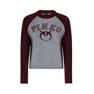 Pinko Ronde hals gebreid - Dames - Ronde hals truien - Grijs - S - Truien & Vesten