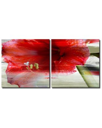 Ready2HangArt Ready2hangart Painted Petals Xlix Canvas Wall Art