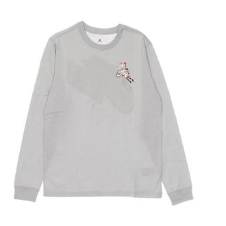 Nike Jordan Long Sleeve Training Tops, male, Gray, Size: XL Long Sleeve Crew Neck T-Shirt