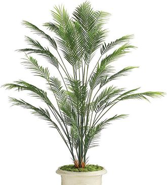 Frontgate Outdoor Areca Palm Tree - Frontgate