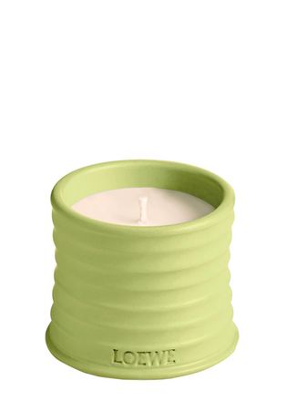 Loewe Cucumber Candle - Small 170g, Candle, High-intensity Fragrance, Juicy Cucumber, Just-picked From the Vine, Fresh Mint Notes, Small 170g