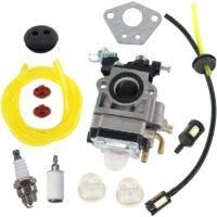 OEM Carburador 43cc 52cc 40-5 Bc430 Cg430 Cg520 1e40f-5