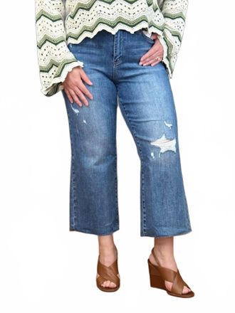Judy Blue Backyard Barbecue Cropped Jeans In Blue