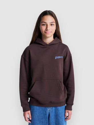 Element Sunrise Kids Hoodie bruin