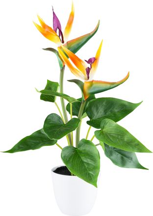 Creativ Green Kunstpflanze