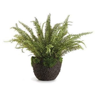 Napa Home & Garden Grand Boston Fern Drop-In 30 in Green at Nordstrom