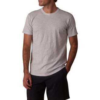 The Normal Brand Legacy Perfect Cotton T-Shirt in Mist at Nordstrom, Size Xx-Large