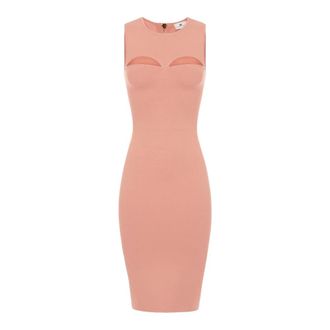 Elisabetta Franchi Dames, Jurken, Roze, Maat: XS Viscose