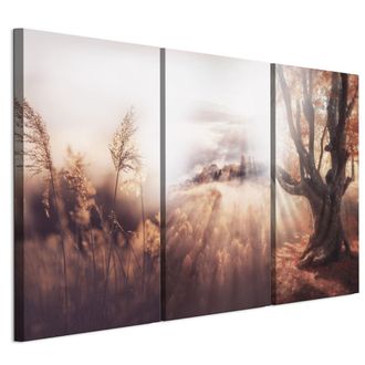 OEM Cuadro Sobre Lienzo Italiano De 90 X 60 Cm, Tr&iacute;ptico - Estilo Cl&aacute;sico - Naturaleza Cuadro Sobre Lienzo Italiano De 120 X 80 Cm, Tr&iacute;ptico - Estilo Cl&aacute;s