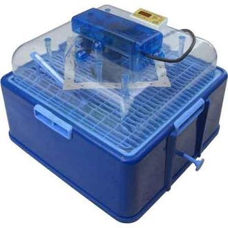 OEM Incubatrice Digitale Af 50