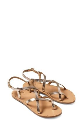 beek Linnet Crossover Strap Sandal in Gold/beach at Nordstrom, Size 10