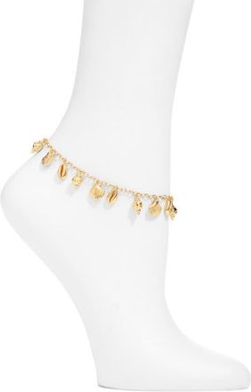 Nest Tiny Shells Charm Anklet in Gold at Nordstrom