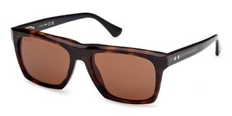 Web Eyewear Web WE0350 55E Mens Sunglasses Tortoiseshell Size 55