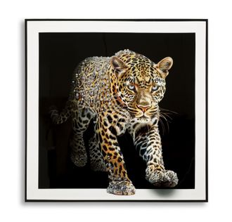 Mauro Ferretti Cuadro Lacado Sobre Lienzo Jaguar Con Marco -a- Cm 82x4x82