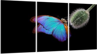 OEM Placa Protectora De Vidrio Para Estufa 3x30x52