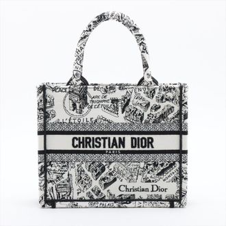 Dior Small Canvas Book Tote