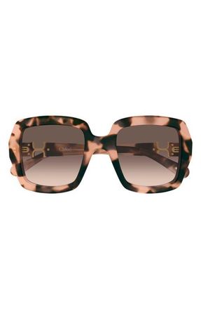 Chlo&eacute; 52mm Gradient Square Sunglasses in Havana at Nordstrom